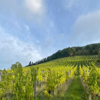 Krypto-Explosion durch echte Werte: Wie wir aus 0 € Bodenwert 50 € machen